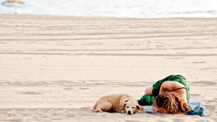 Vodenjak i riba na plaži